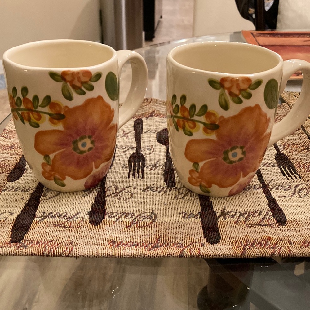 Pier 1 Imports Antoinette Floral Cream Hand Painted Earthenware Mugs (2)